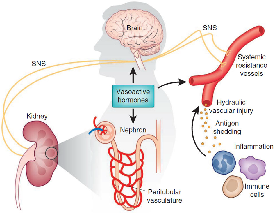 Cupping Operation and its Psychological aspect