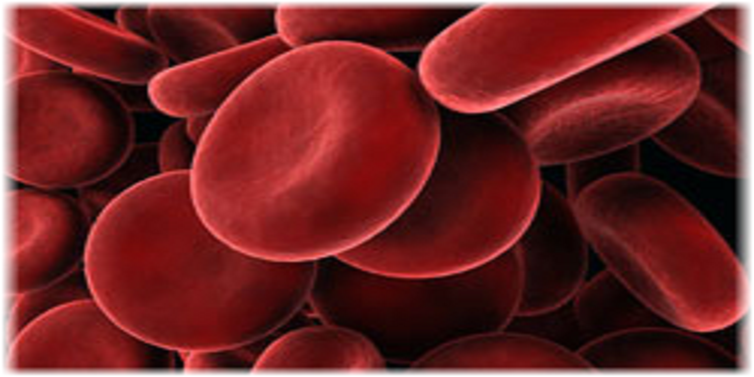 Blood facts functions and Composition AL Ghufran Hijamah Blood facts functions and Composition AL Ghufran Hijamah